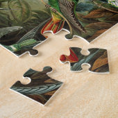 Haeckel Trochilidae Legpuzzel (Zijkant)