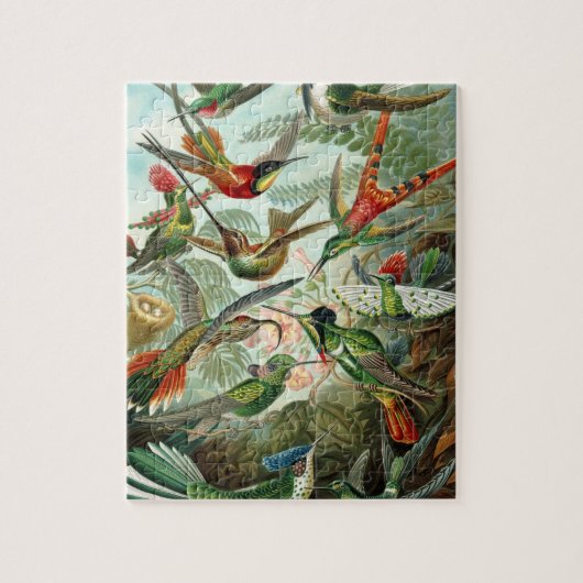 Haeckel Trochilidae Legpuzzel (Verticaal)