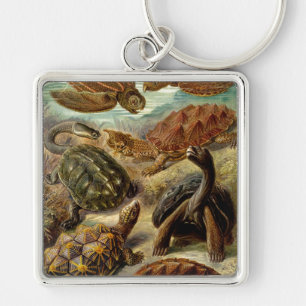 Haeckel Turtles Sleutelhanger