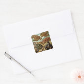  Haeckel Turtles Vierkante Sticker (Envelop)
