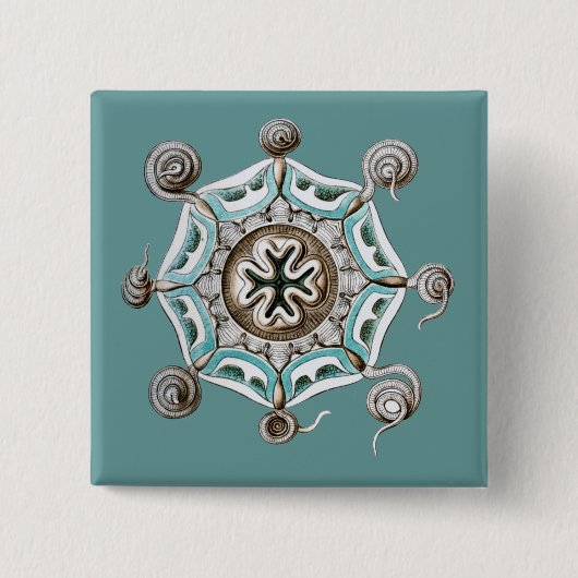 Haeckel Vierkante Button 5,1 Cm (Voorkant)