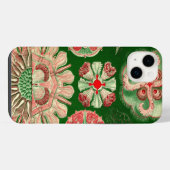 Haeckel vintage (Verso Horizontal)