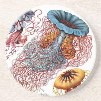 Haeckel Zandsteen Onderzetter