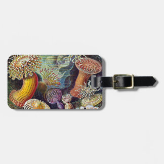 Haeckel Zee Anemone Ocean Life Natuur Kunst Schild Bagagelabel