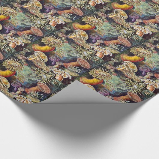 Haeckel Zee Anemone Ocean Life Natuur Kunst Schild Cadeaupapier (Hoek)