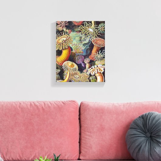 Haeckel Zee Anemone Ocean Life Natuur Kunst Schild Canvas Afdruk (Insitu (Woonkamer))