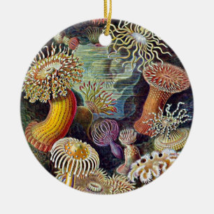 Haeckel Zee Anemone Ocean Life Painting Keramisch Ornament