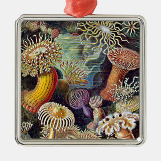 Haeckel Zee Anemone Ocean Life Painting Metalen Ornament