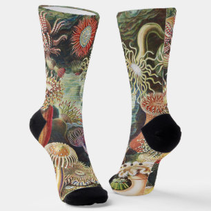 Haeckel Zeeanemonen Nautische Zeeleven Art Collage Sokken