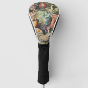Haeckel Zeeanemonen Nautische Zeeleven Kunst Colla Golfheadcover