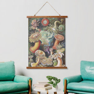 Haeckel Zeeanemonen Nautische Zeeleven Kunst Colla Hangend Wandkleed