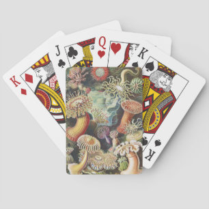 Haeckel Zeeanemonen Nautische Zeeleven Kunst Colla Pokerkaarten