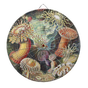 Haeckel Zeeanemonen Scheepvaart Zeeleven Kunst Col Dartbord