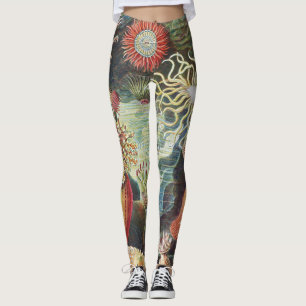 Haeckel Zeeanemonen Scheepvaart Zeeleven Kunst Col Leggings