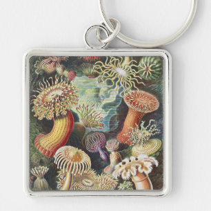 Haeckel Zeeanemonen Scheepvaart Zeeleven Kunst Col Sleutelhanger