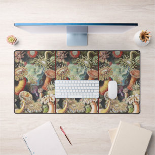 Haeckel Zeeanemonen Zeevaart Zeeleven Art Collage Bureaumat