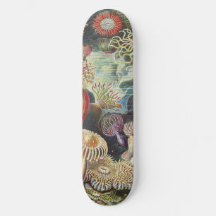 Haeckel Zeeanemonen Zeevaart Zeeleven Kunst Collag Skateboard