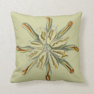 Haeckel zeemacht kussen