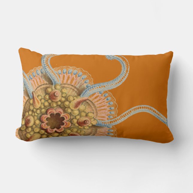 Haeckel  zeemacht kussen (Voorkant)