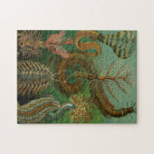 Haeckel's Chaetopoda Jigzaag Puzzle Legpuzzel (Horizontaal)