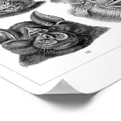 Haeckel's vleermuizen poster (Hoek)