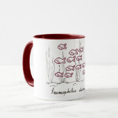 Haemophilus Ducreyi mok (Voorkant links)