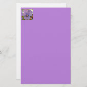 Haetzlern Briefpapier (Voorkant / Achterkant)