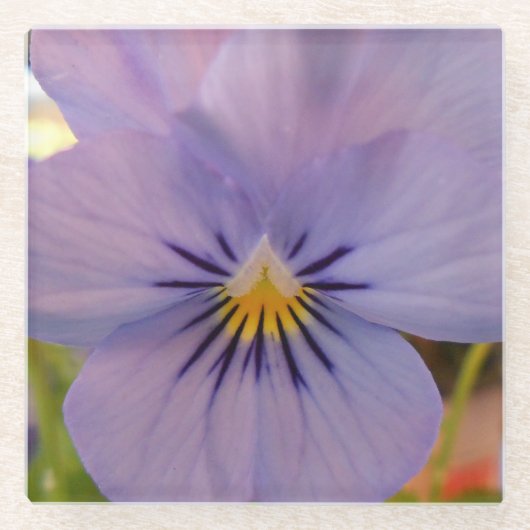 Haetzlern Glazen Onderzetter (Voorkant)