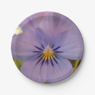 Haetzlern Papieren Bordje