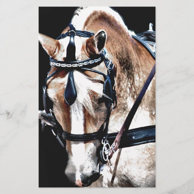 Haflinger (Voorkant)