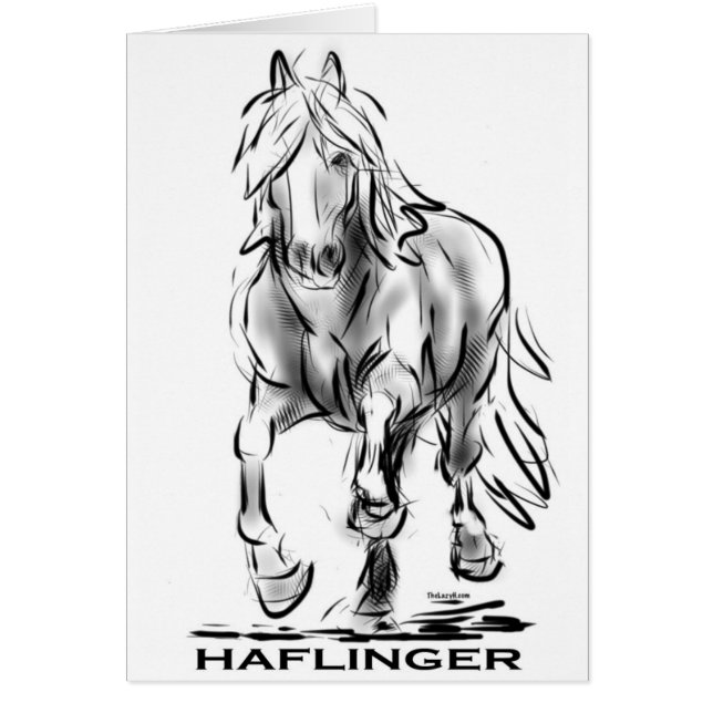 Haflinger (Voorkant)