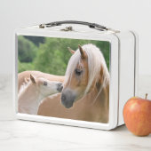 Haflinger Cute Horses Foal and Mama Cuddling Kiss (In situ)