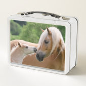 Haflinger Cute Horses Foal and Mama Cuddling Kiss (Achterkant)