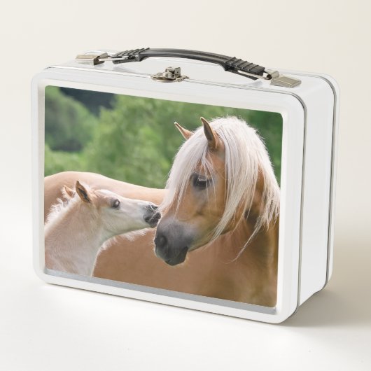 Haflinger Cute Horses Foal and Mama Cuddling Kiss (Voorkant)