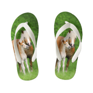Haflinger Horse Cute Baby Foal Kiss Mum Pony Kinde Kinder Teenslippers