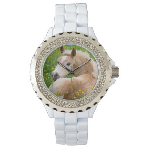 Haflinger Horse Cute Foal in een Flowerbed voor me Horloge
