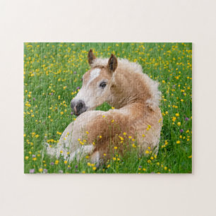 Haflinger Horse Cute Foal Rest in Flowerbed Jigzaa Legpuzzel