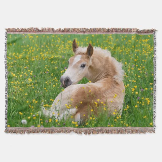 Haflinger Horse Resting in a Flowerbed - Deken (Voorkant)