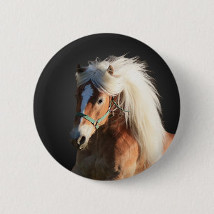 Haflinger Horse Ronde Button 5,7 Cm