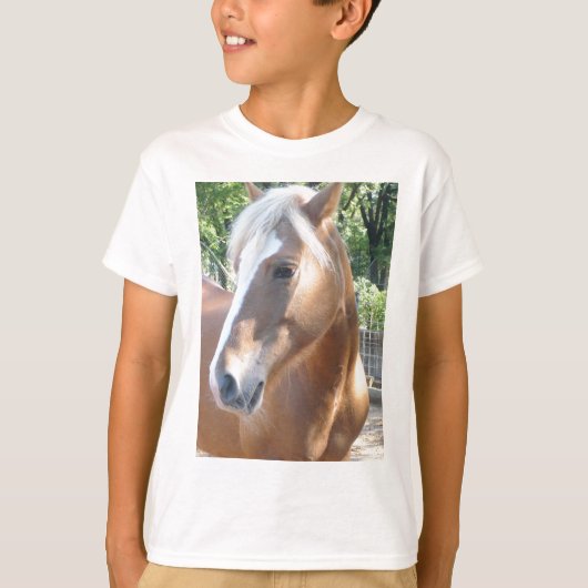Haflinger Horse T-shirt (Voorkant)