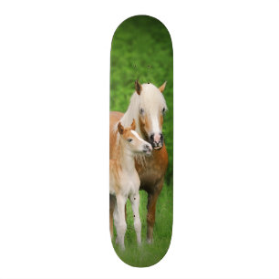 Haflinger Horses Cute Foal Kiss Mum Photo Funny Skateboard