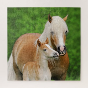 Haflinger Horses Cute Foal Kiss Mum Photo - Game Legpuzzel