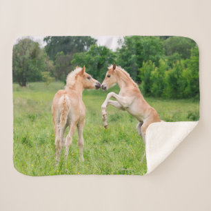 Haflinger Horses Cute Foals Vrienden die Foto make Sherpa Deken