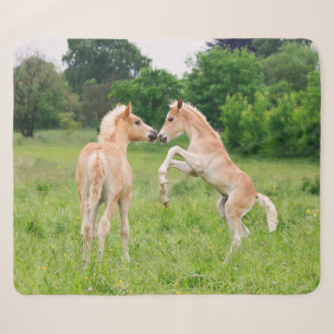 Haflinger Horses Cute Foals Vrienden die Foto make Sherpa Deken