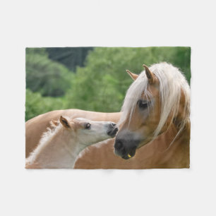 Haflinger Horses Foal and Mare cuddling, comfy Fleece Deken