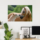 Haflinger Horses Foal and Mare cuddling, Foto Poster (Thuiskantoor)