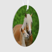Haflinger Horses Joli Fosse Kiss maman Photo - (devant)