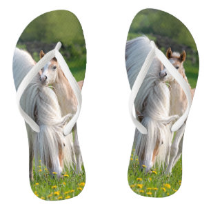 Haflinger Horses Schattige Baby veulen met mama - Teenslippers