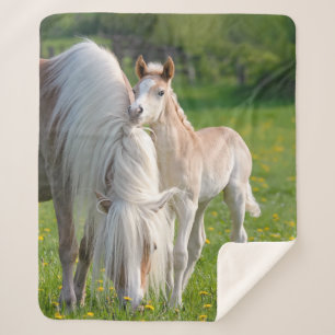 Haflinger paarden koken Baby met foto ... Sherpa Deken