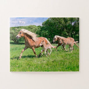 Haflinger-paarden met Cute Foals Draait Foto * Legpuzzel